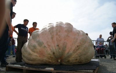 Book Review: “Get Big Things Done: The Power Of Connectional Intelligence”